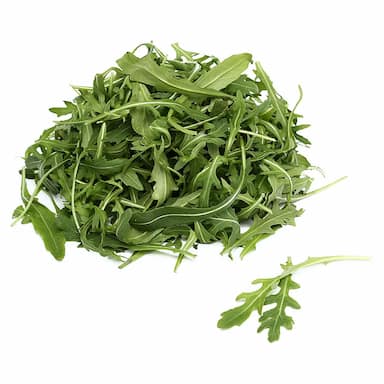 Салат Руккола