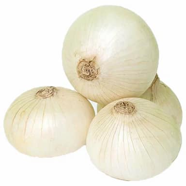 Лук белый репчатый