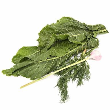 Набор для засолки 5шт