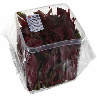 Салат Мангольд красный