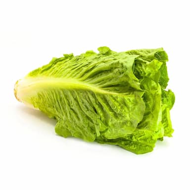 Салат Романо 1шт