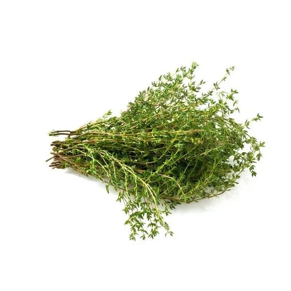 Тимьян (чабрец) — фото 1