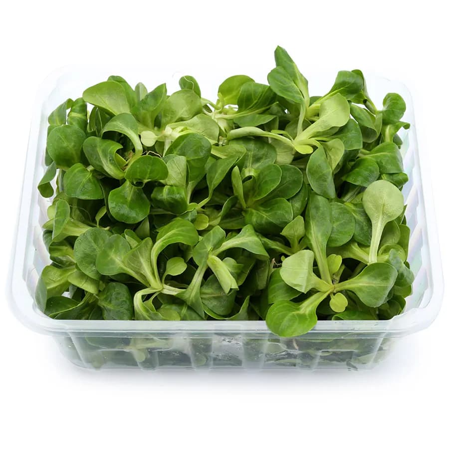 Салат Корн — фото 1