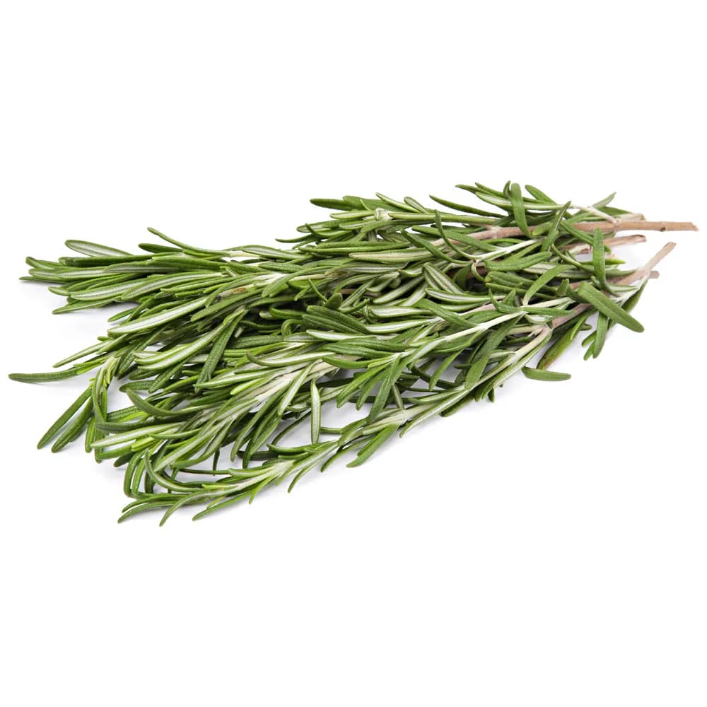 Розмарин — фото 1