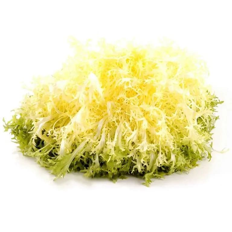 Салат Фризе 1шт — фото 1