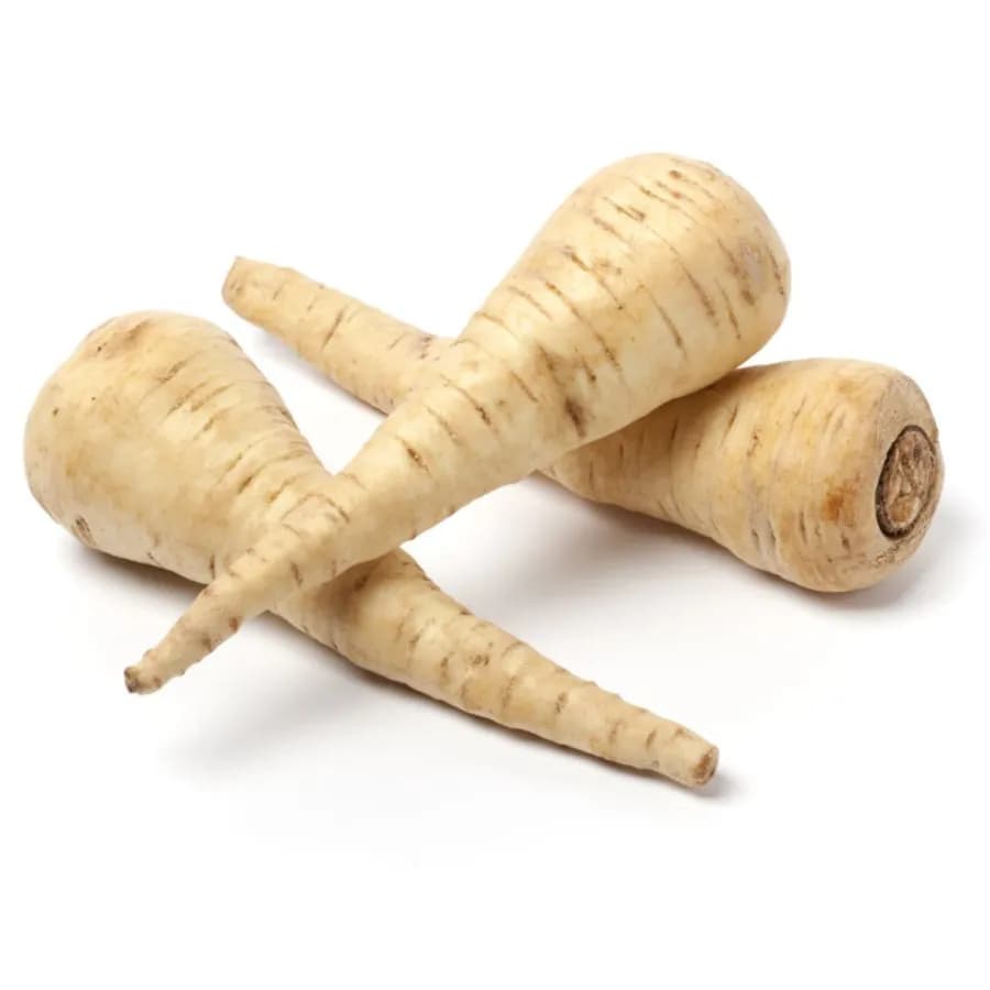 Пастернак корень — фото 1