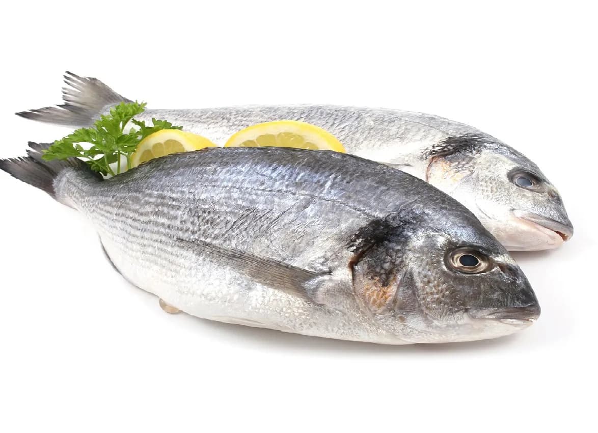 Дорадо охлажденная от 400гр до