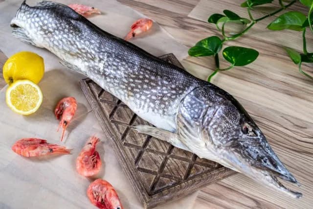 Щука вяленая весовая — фото 1