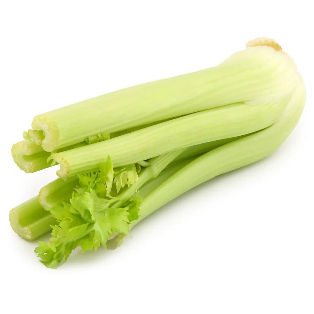 Сельдерей стебли — фото 1