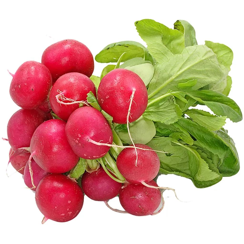 Редис свежий с ботвой