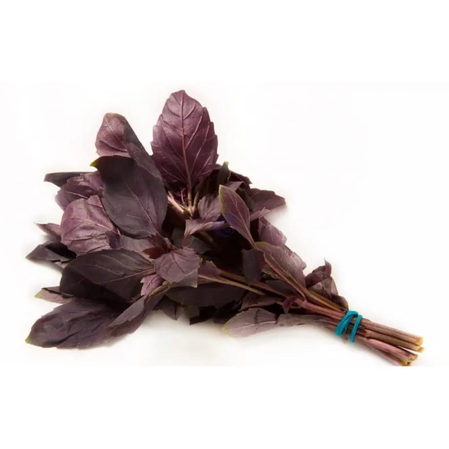 Базилик Красный (РЕЙХАН)