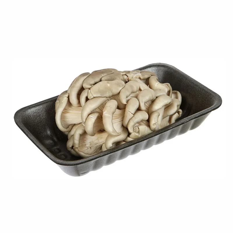 Грибы Вешенки