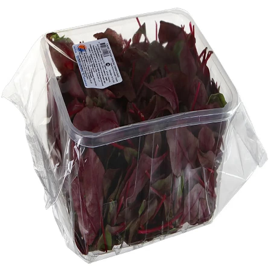 Салат Мангольд красный