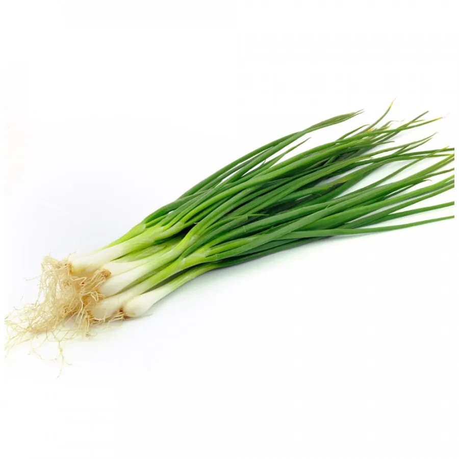 Лук зеленый
