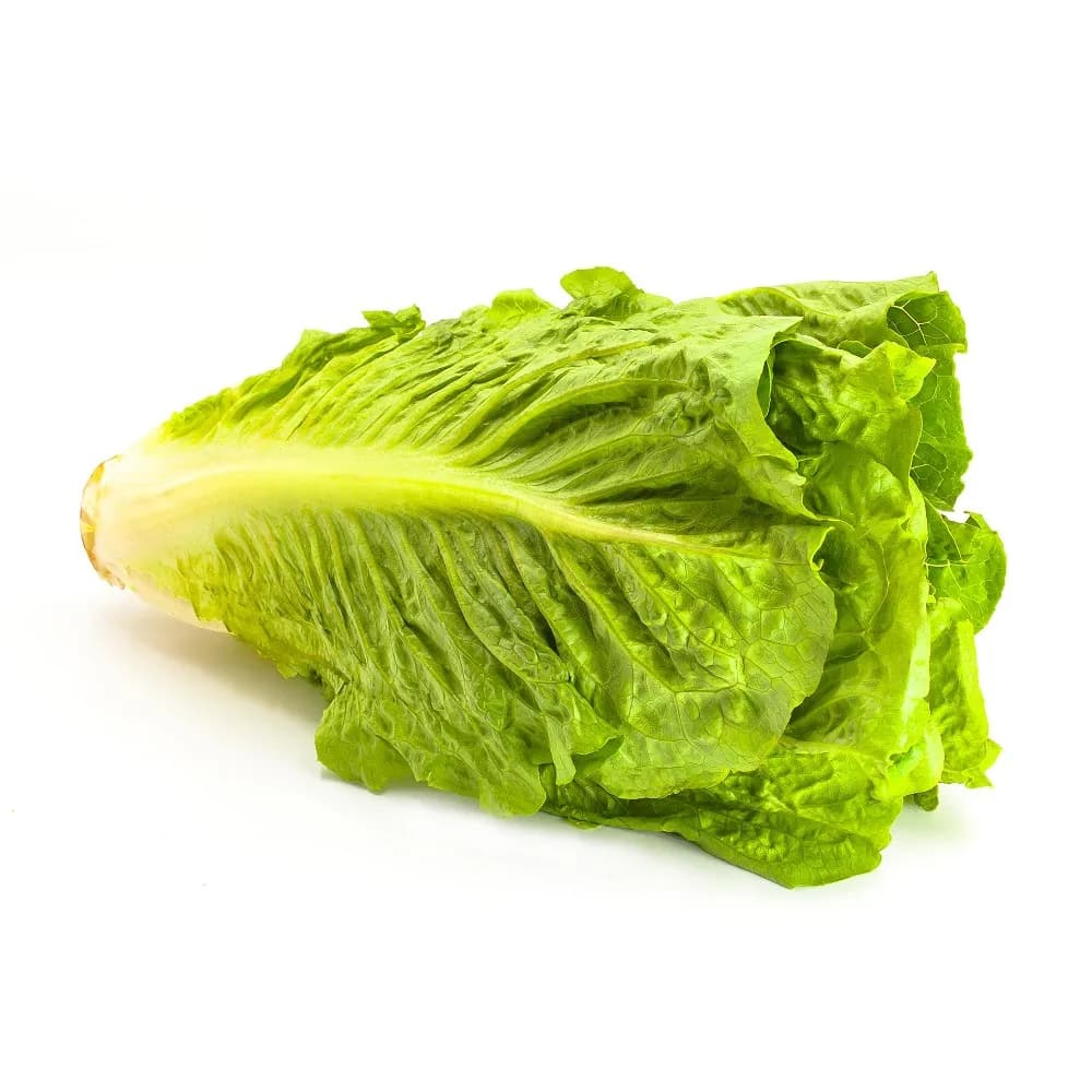 Салат Романо 1шт